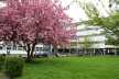 wetzlar05.jpg