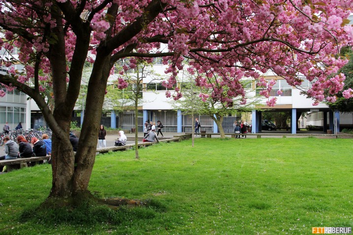 wetzlar03.jpg